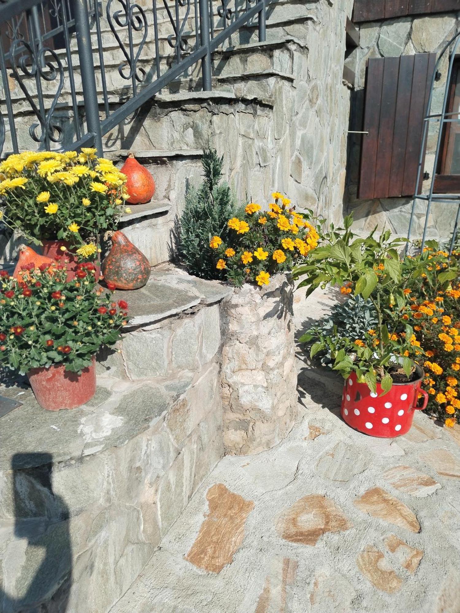 הוילה Ni Seosko Turisticko Domacinstvo Imunsan מראה חיצוני תמונה