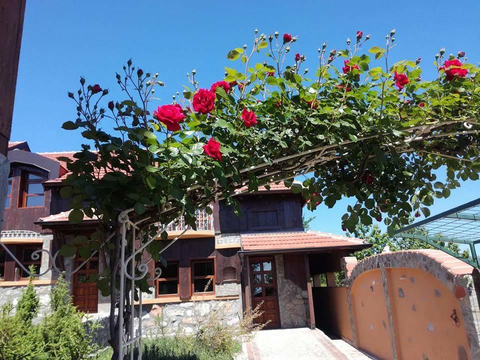 הוילה Ni Seosko Turisticko Domacinstvo Imunsan מראה חיצוני תמונה
